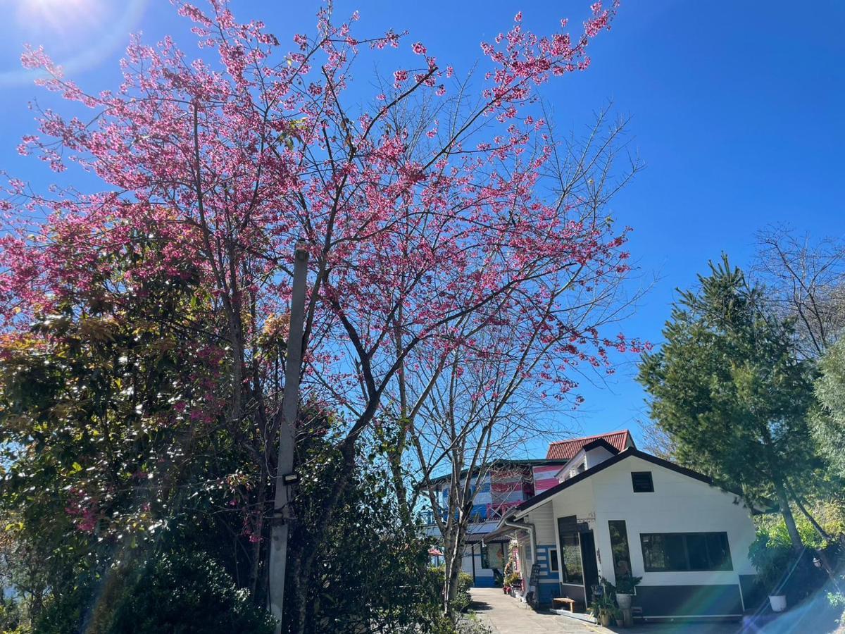Julie's Garden, Cingjing - Fon Chin Homestay Renai Buitenkant foto