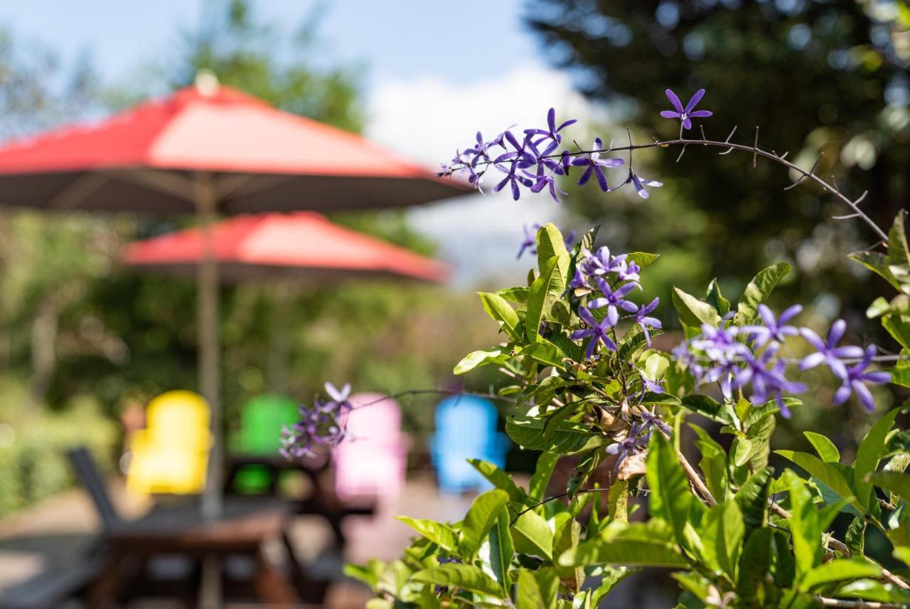 Julie's Garden, Cingjing - Fon Chin Homestay Renai Buitenkant foto